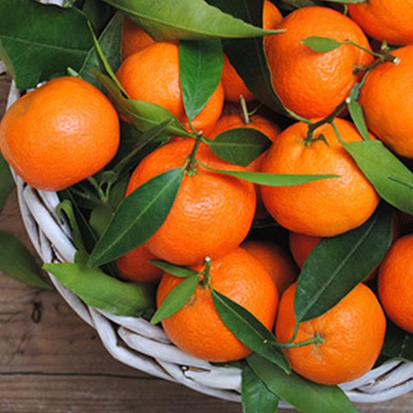 Aroma  Orange Mandarine 10 ml