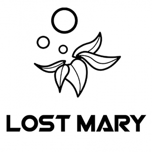 Lost Mary BM600 2%